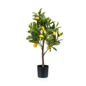Kunst Citroenboom Citrus Limonia 75cm