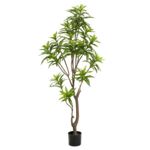 Kunstplant Dracaena (Drakenboom) 155cm