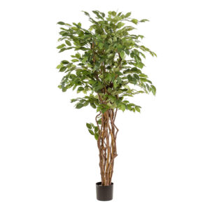 Kunstplant Ficus Liana (Vioolbladplant) 170cm
