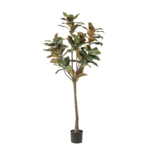 Kunstplant Magnolia Grandiflora 150cm