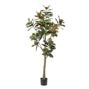 Kunstplant Magnolia Grandiflora 180cm