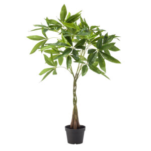 Kunstplant Pachira Aquatica (Geldboom) 90cm