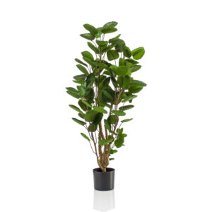Kunstplant Polyscias Aralia 105cm