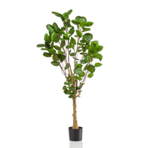 Kunstplant Polyscias Aralia 150cm