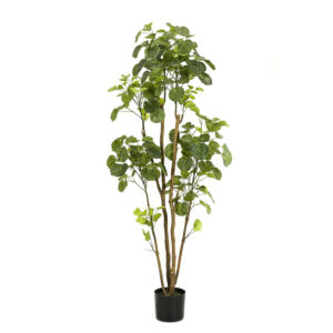 Kunstplant Polyscias Aralia 160cm
