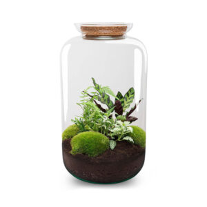 Planten Terrarium - Botanical Sven XL
